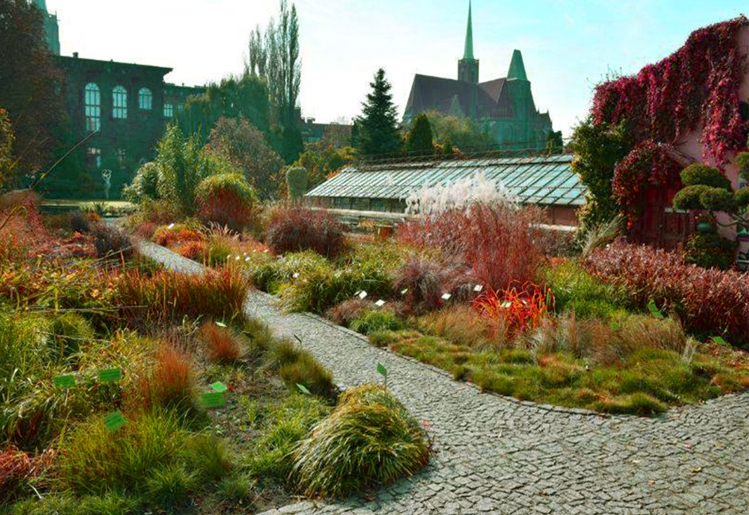 Wrocławski Ogród Botaniczny