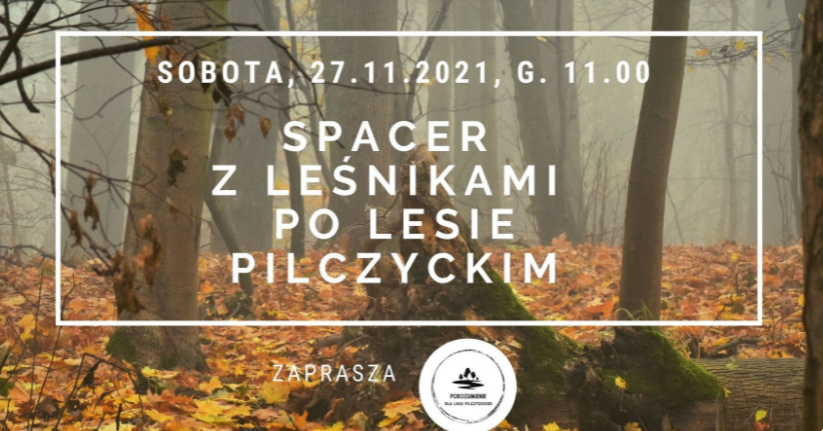 Spacer z leśnikami po lesie Pilczyckim