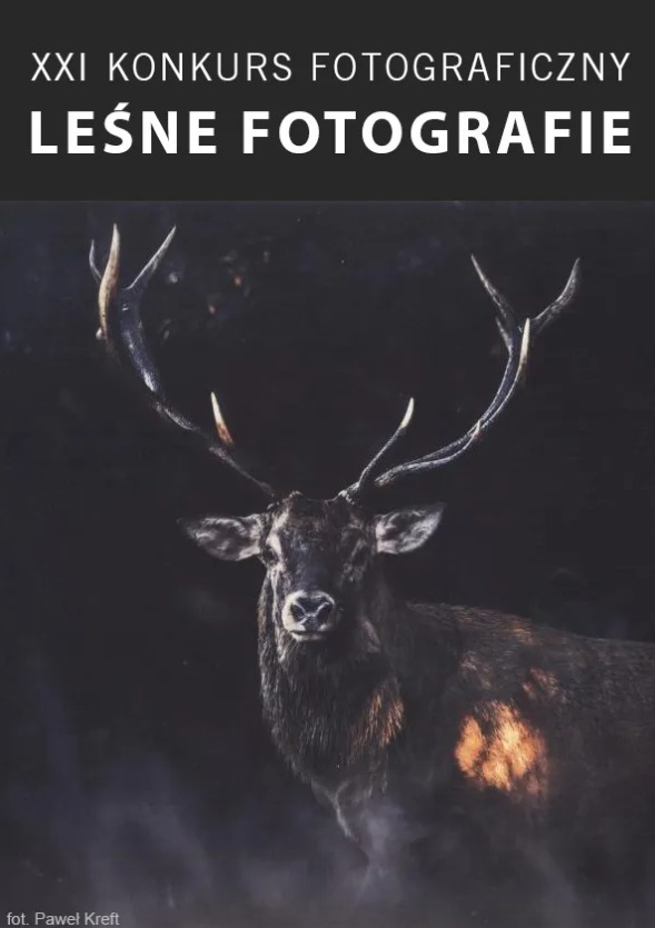 Plakat konkursu przyrodniczego