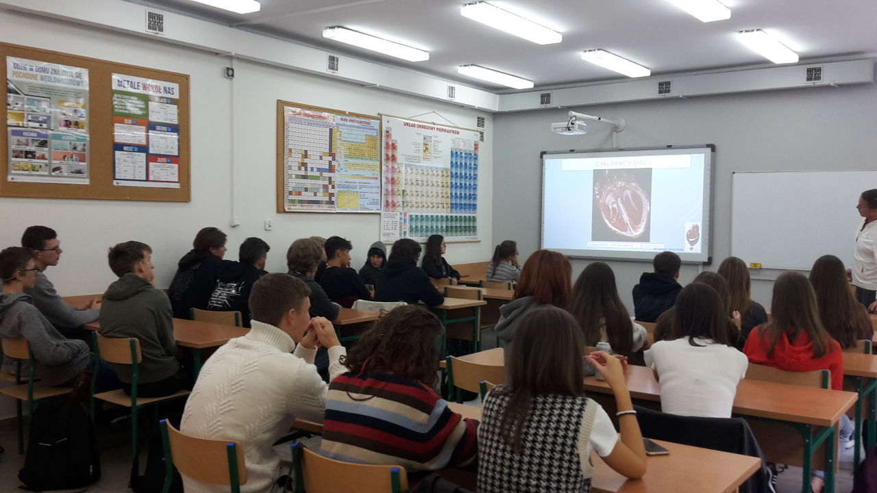 Dolnośląski Festiwal nauki 2022