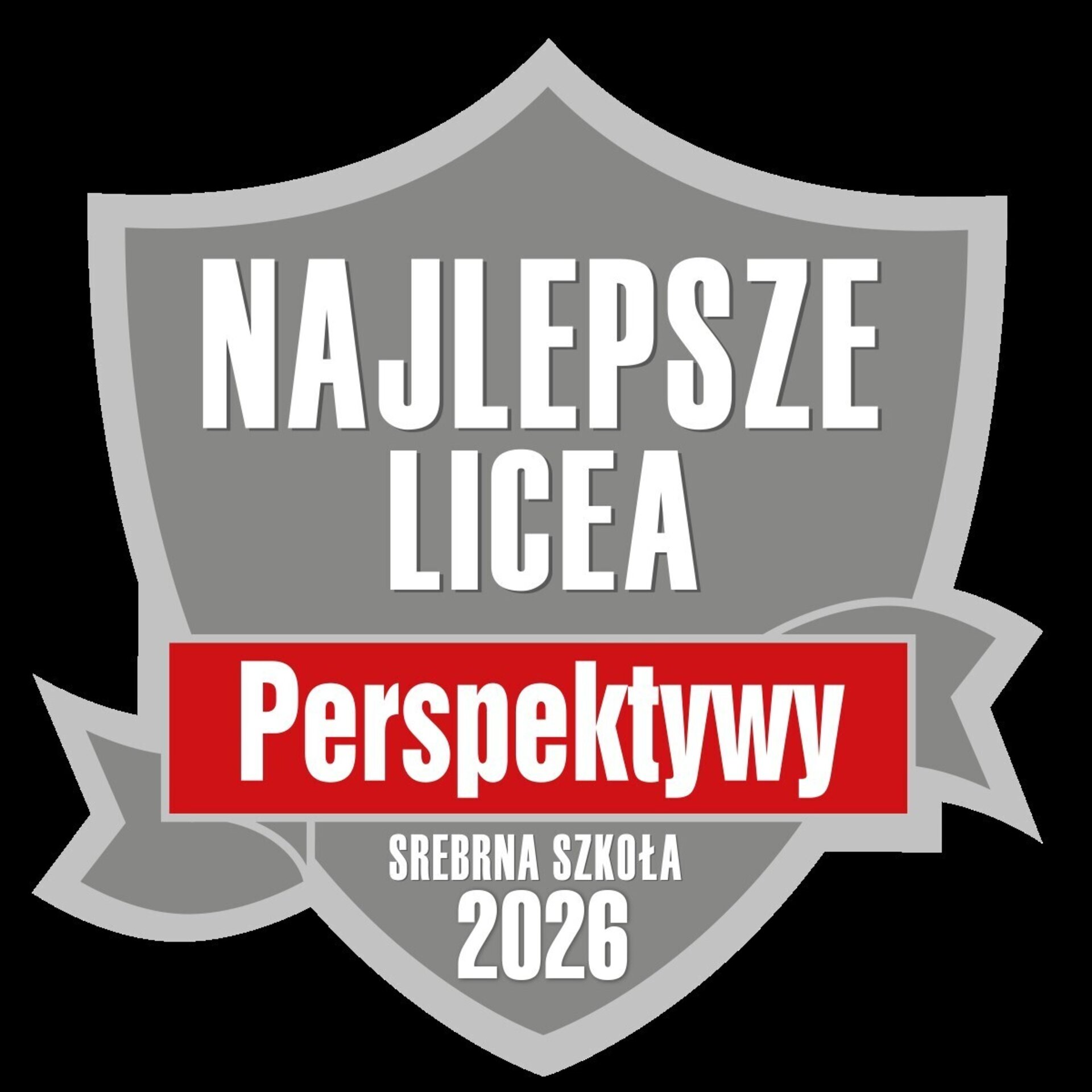 Srebrna Tarcza dla LO nr VI!